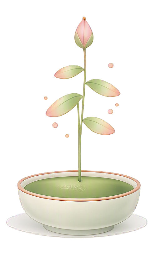 Velusa Luxury Sprout